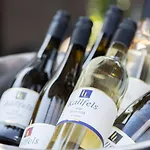 Wein Und Kallfels 4* 克罗夫