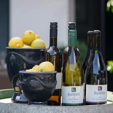 Wein Und Kallfels بيت ضيافة 4*