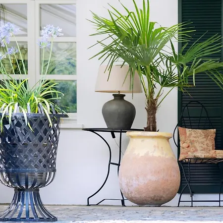 Wein Und Kallfels بيت ضيافة