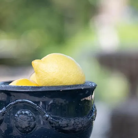 Wein Und Kallfels 4*