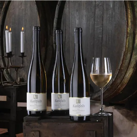 Pensionat Wein Und Kallfels Kröv