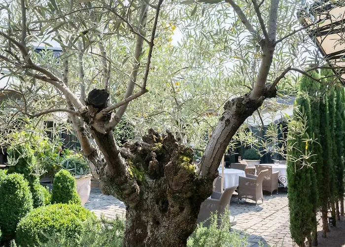 Wein Und Kallfels 4*