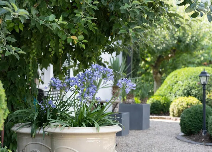 Gasthuis Wein Und Kallfels Kröv