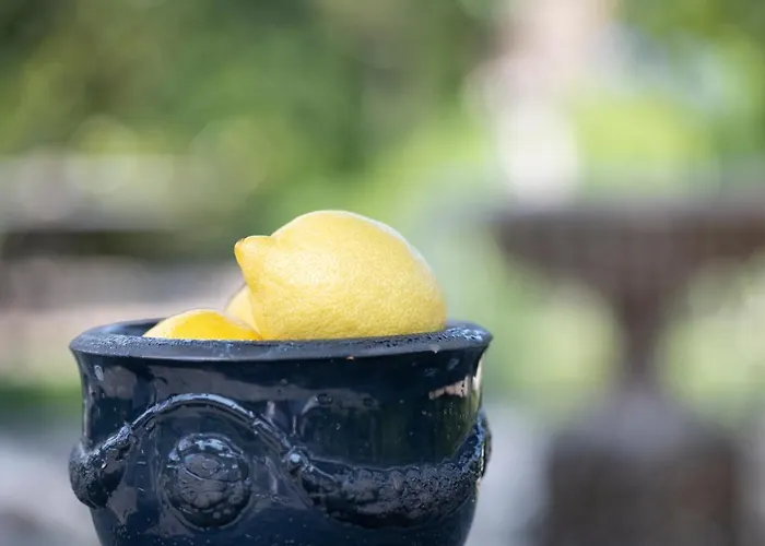 Wein Und Kallfels 4*