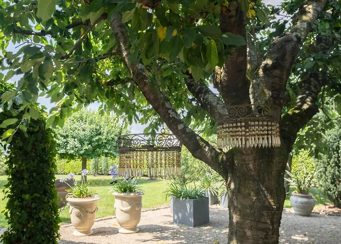 Πανσιόν Wein Und Kallfels Kröv